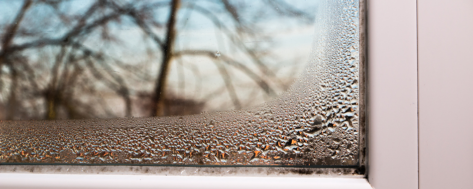 Fighting condensation and mould this winter